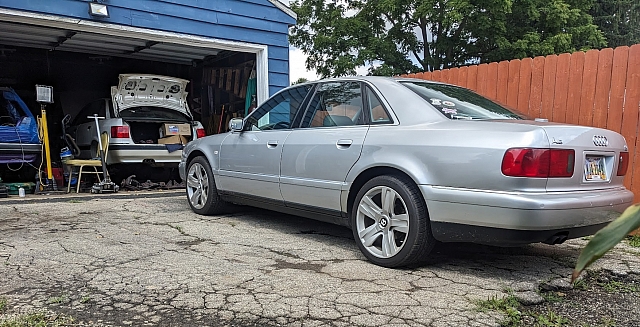PXL 20240809 190820846