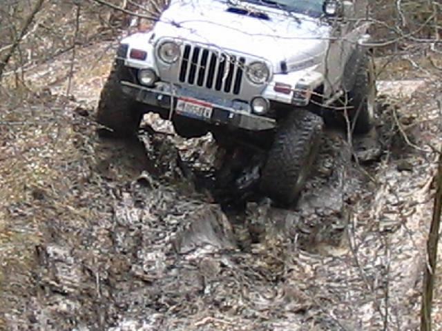 IMG_1299.jpg