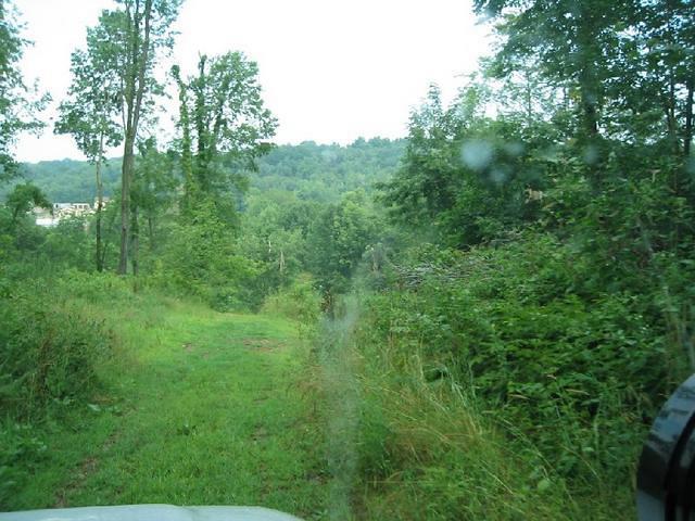 107_0736.JPG