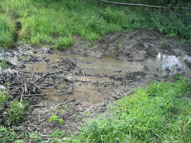 107_0745.JPG