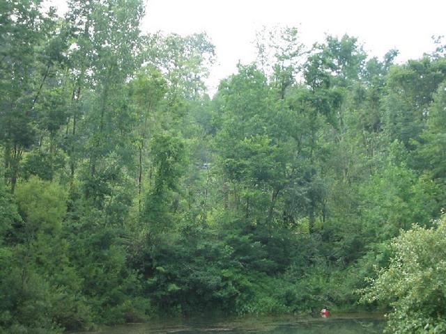 107_0751.JPG