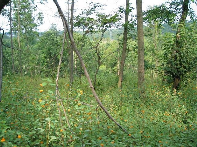 107_0774.JPG