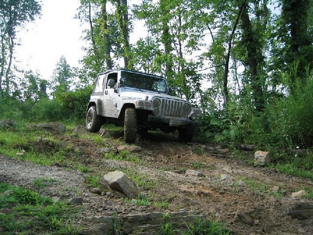 107_0784.JPG
