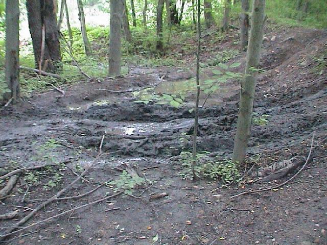 DSC00041.JPG