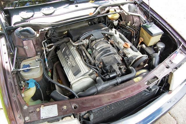 DSC_2988.JPG